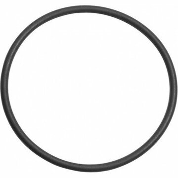 Кольцо уплотнительное под ЗПУ Уплотнительное кольцо под ЗПУ М30 РФ